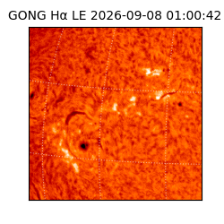gong - 2026-09-08T01:00:42