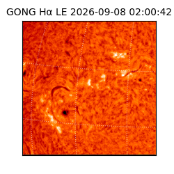 gong - 2026-09-08T02:00:42