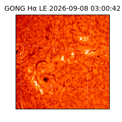 gong - 2026-09-08T03:00:42