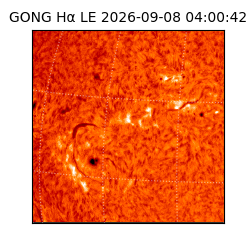 gong - 2026-09-08T04:00:42