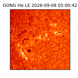 gong - 2026-09-08T05:00:42