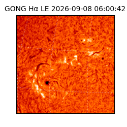 gong - 2026-09-08T06:00:42