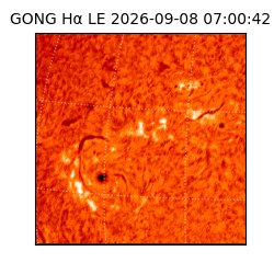 gong - 2026-09-08T07:00:42