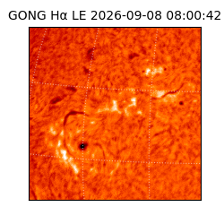 gong - 2026-09-08T08:00:42