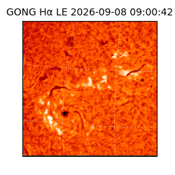 gong - 2026-09-08T09:00:42