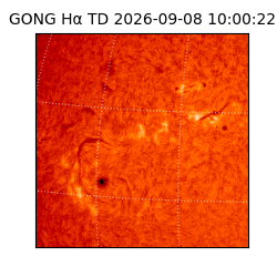 gong - 2026-09-08T10:00:22