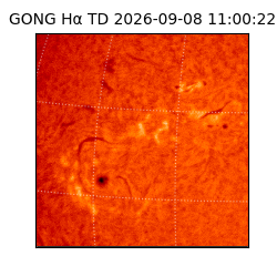 gong - 2026-09-08T11:00:22