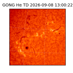 gong - 2026-09-08T13:00:22