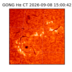 gong - 2026-09-08T15:00:42