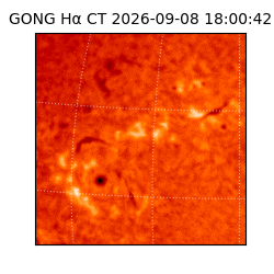 gong - 2026-09-08T18:00:42