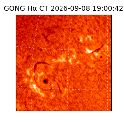 gong - 2026-09-08T19:00:42