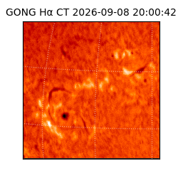 gong - 2026-09-08T20:00:42