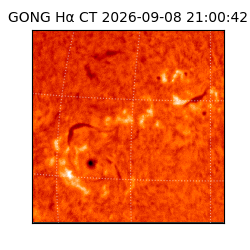 gong - 2026-09-08T21:00:42