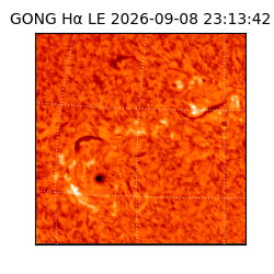 gong - 2026-09-08T23:13:42