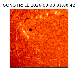 gong - 2026-09-08T01:00:42