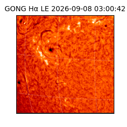 gong - 2026-09-08T03:00:42