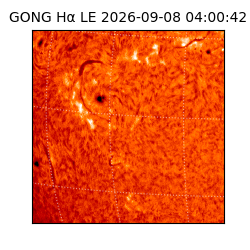 gong - 2026-09-08T04:00:42