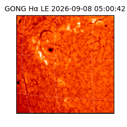 gong - 2026-09-08T05:00:42