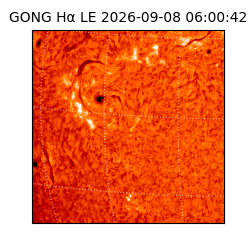gong - 2026-09-08T06:00:42