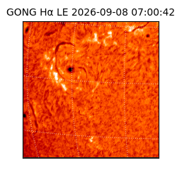 gong - 2026-09-08T07:00:42
