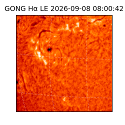 gong - 2026-09-08T08:00:42