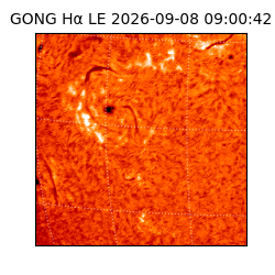 gong - 2026-09-08T09:00:42