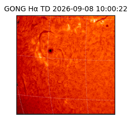 gong - 2026-09-08T10:00:22