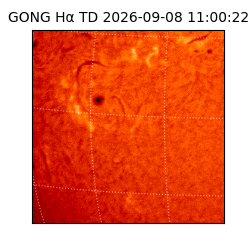gong - 2026-09-08T11:00:22