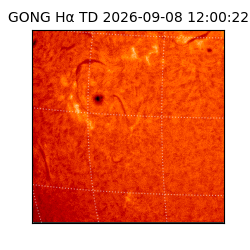 gong - 2026-09-08T12:00:22