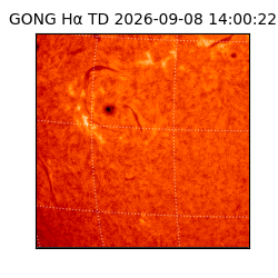 gong - 2026-09-08T14:00:22