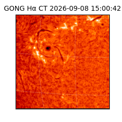gong - 2026-09-08T15:00:42