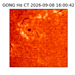 gong - 2026-09-08T16:00:42