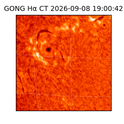 gong - 2026-09-08T19:00:42