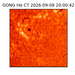gong - 2026-09-08T20:00:42