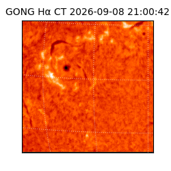 gong - 2026-09-08T21:00:42
