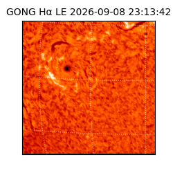 gong - 2026-09-08T23:13:42
