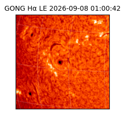 gong - 2026-09-08T01:00:42