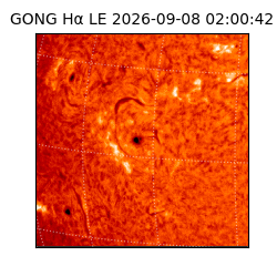 gong - 2026-09-08T02:00:42