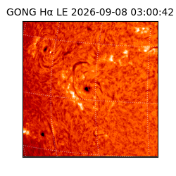 gong - 2026-09-08T03:00:42