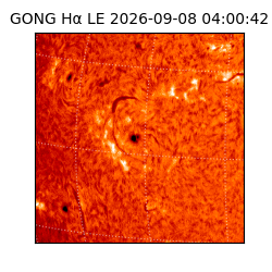 gong - 2026-09-08T04:00:42