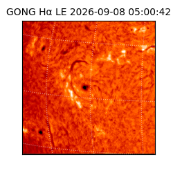 gong - 2026-09-08T05:00:42