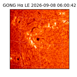 gong - 2026-09-08T06:00:42