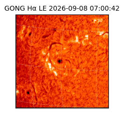 gong - 2026-09-08T07:00:42
