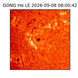 gong - 2026-09-08T08:00:42
