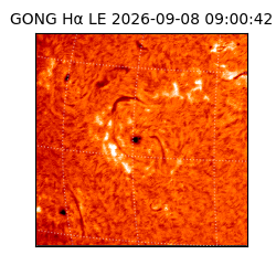 gong - 2026-09-08T09:00:42