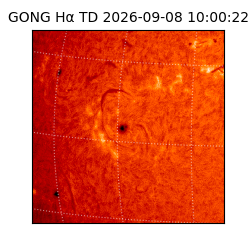gong - 2026-09-08T10:00:22