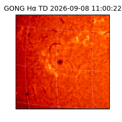 gong - 2026-09-08T11:00:22