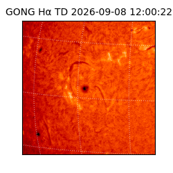 gong - 2026-09-08T12:00:22