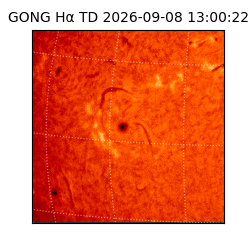 gong - 2026-09-08T13:00:22