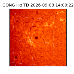 gong - 2026-09-08T14:00:22